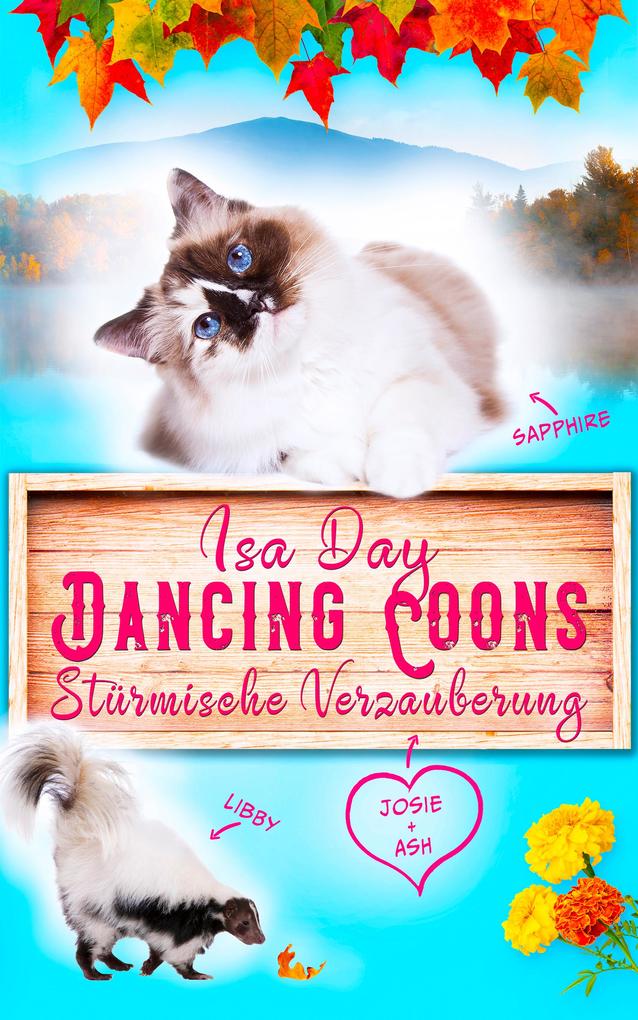 Stürmische Verzauberung - Eine Heimat für das Herz in Dancing Coons - Band 1 der Dancing-Coons-Reihe
