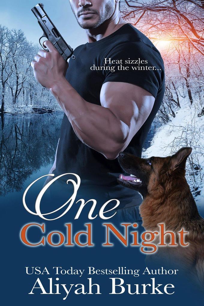 One Cold Night (Prince Brothers #1)
