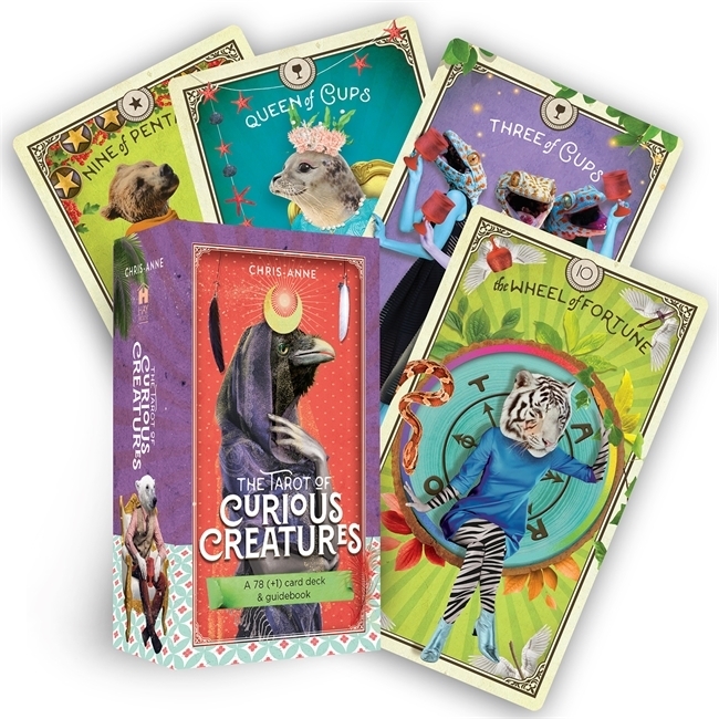 Hay House The Tarot Of Curious Creatures