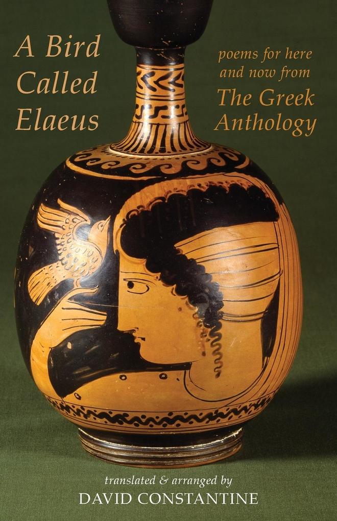 Bird Called Elaeus