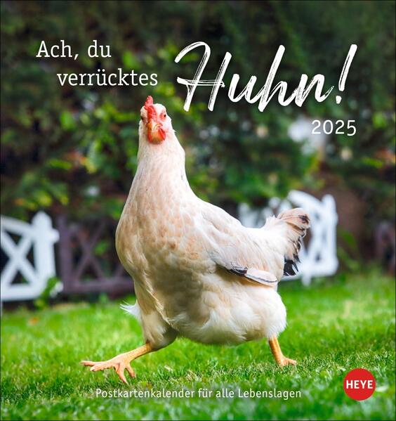Hühner Postkartenkalender 2025 - Ach du verrücktes Huhn!