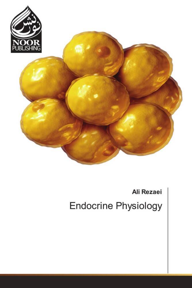 Endocrine Physiology
