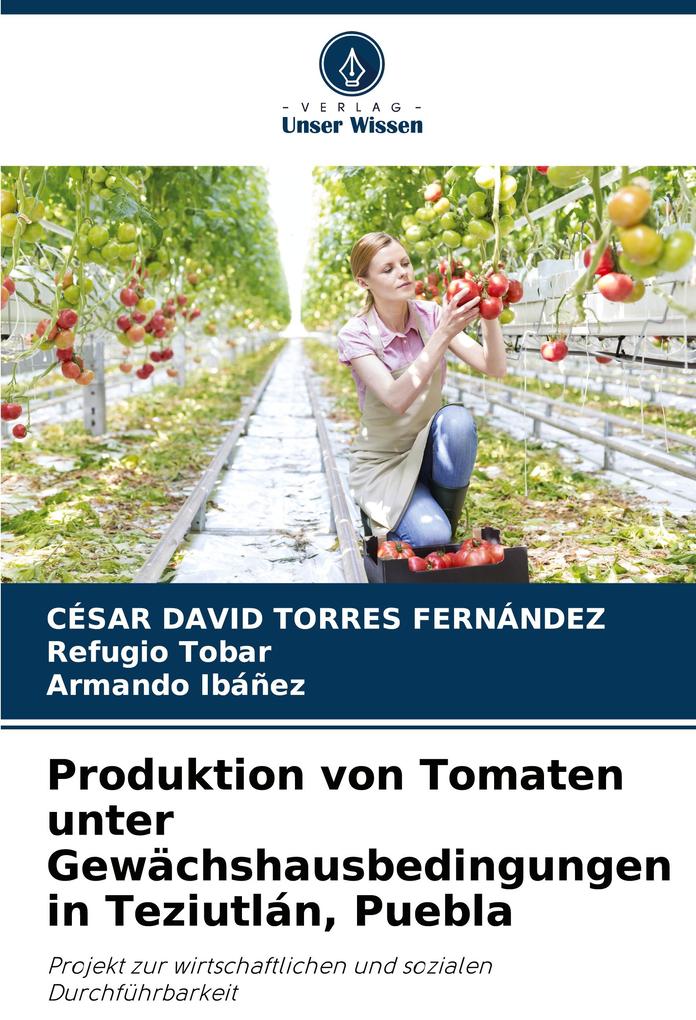 Produktion von Tomaten unter Gewächshausbedingungen in Teziutlán Puebla