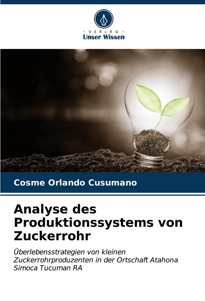 Analyse des Produktionssystems von Zuckerrohr