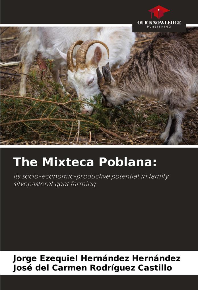 The Mixteca Poblana: