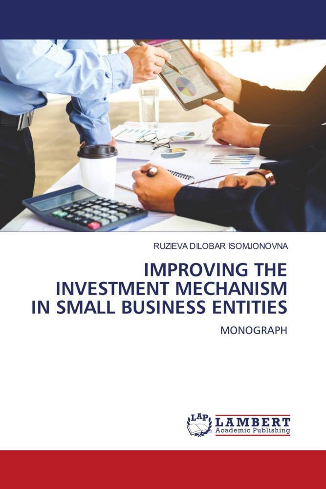 IMPROVING THE INVESTMENT MECHANISM IN SMALL BUSINESS ENTITIES