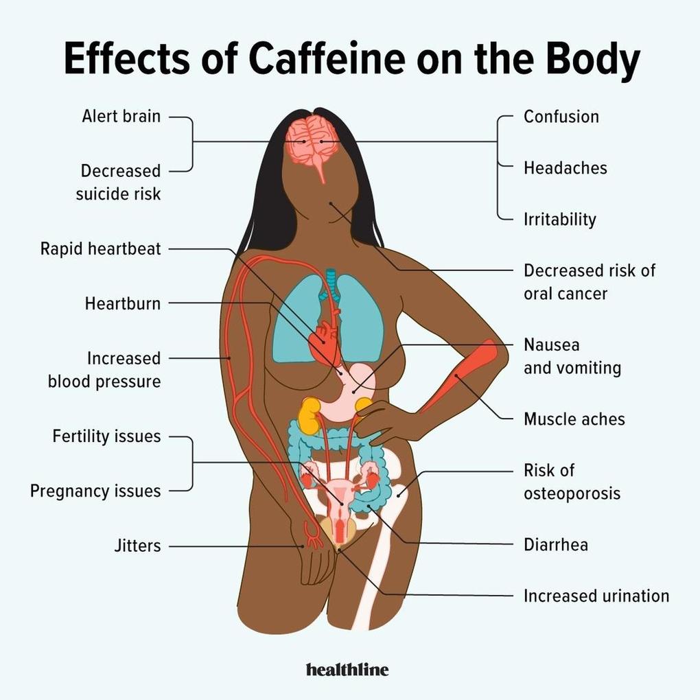 Effects of caffeiene on the Body