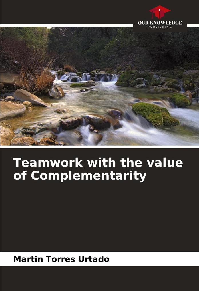 Teamwork with the value of Complementarity