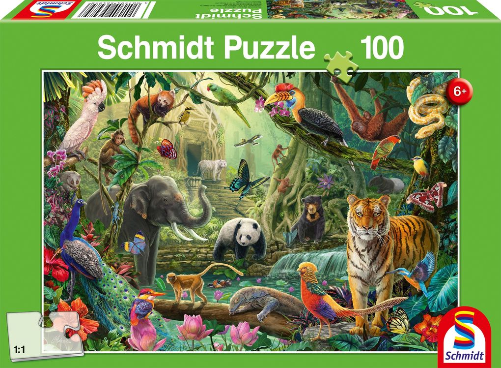 Bunte Tierwelt im Dschungel