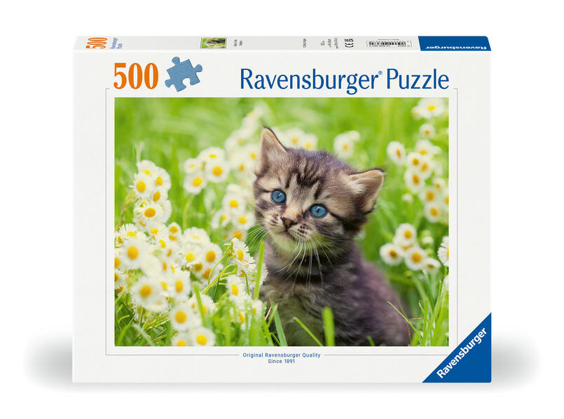 Erwachsenenpuzzle 500 Teile - Kätzchen in der Wiese