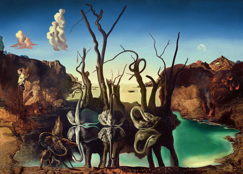 Erwachsenenpuzzle 1000 Teile - Dali