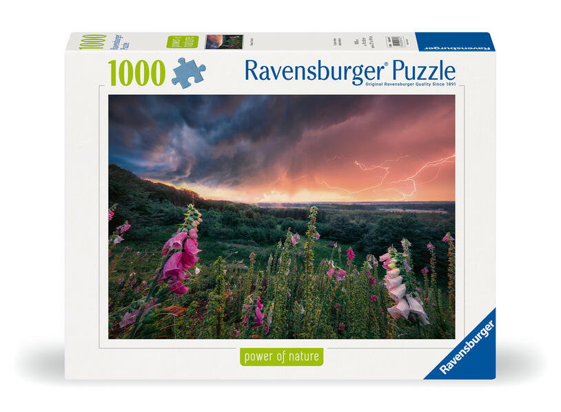 Ravensburger Puzzle 12000793 - Ein Sturm zieht auf - 1000 Teile Puzzle für Erwachsene ab 14 Jahren