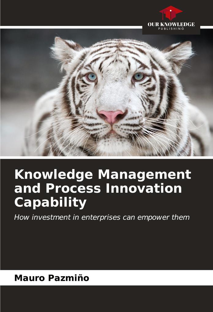 Knowledge Management and Process Innovation Capability