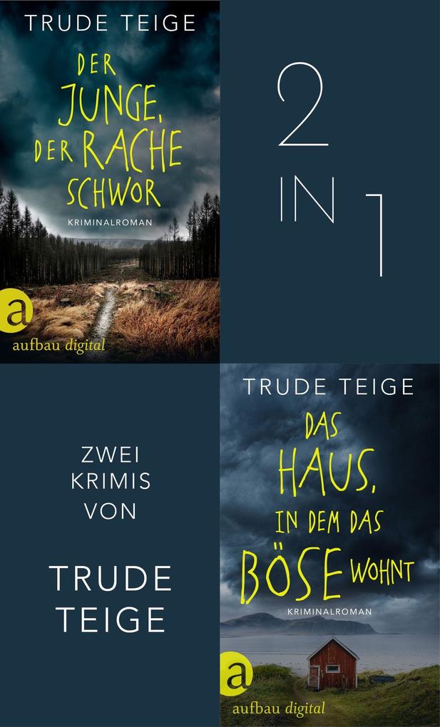 Der Junge der Rache schwor & Das Haus in dem das Böse wohnt