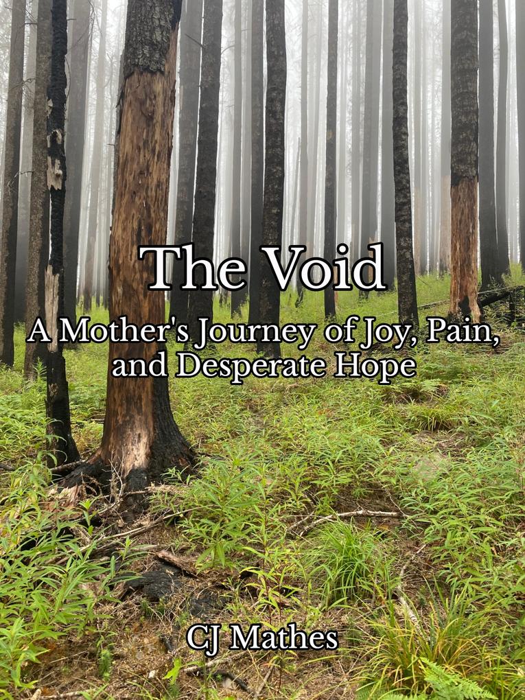 The Void A Mother‘s Journey of Joy Pain and Desperate Hope