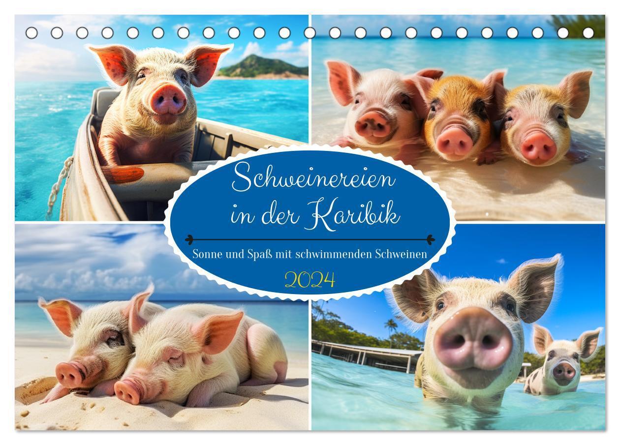 Schweinereien in der Karibik. Sonne und Spaß mit schwimmenden Schweinen (Tischkalender 2024 DIN A5 quer) CALVENDO Monatskalender