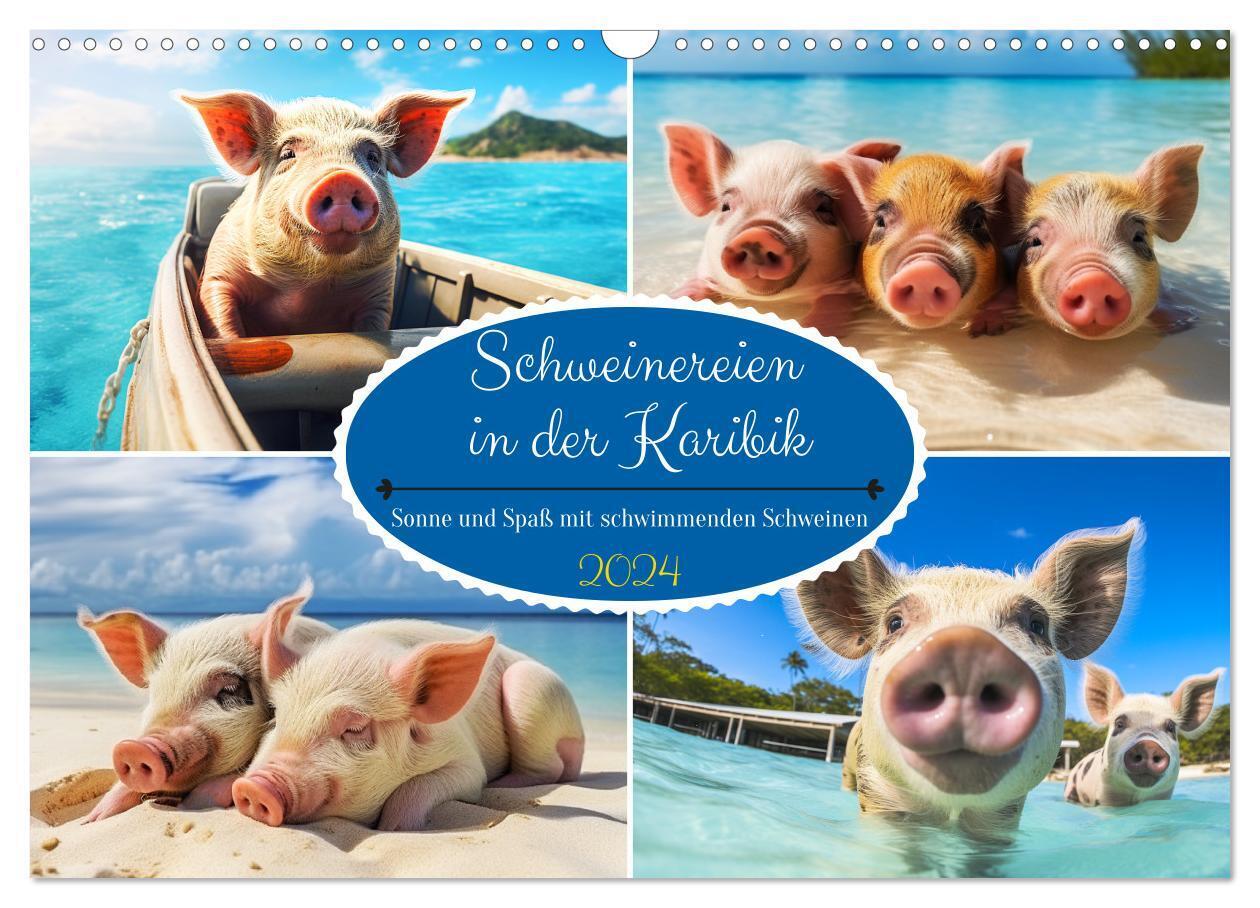 Schweinereien in der Karibik. Sonne und Spaß mit schwimmenden Schweinen (Wandkalender 2024 DIN A3 quer) CALVENDO Monatskalender