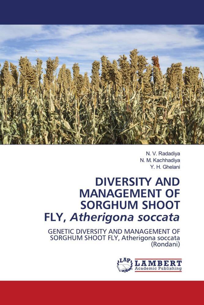 DIVERSITY AND MANAGEMENT OF SORGHUM SHOOT FLY Atherigona soccata