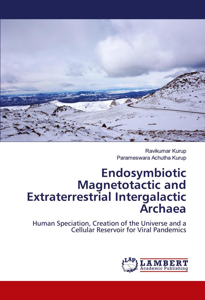 Endosymbiotic Magnetotactic and Extraterrestrial Intergalactic Archaea