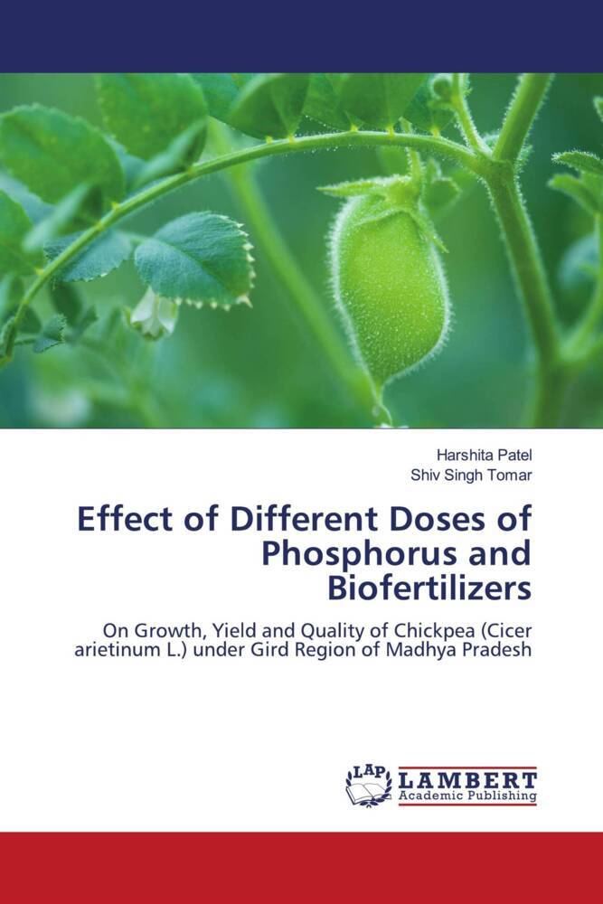 Effect of Different Doses of Phosphorus and Biofertilizers