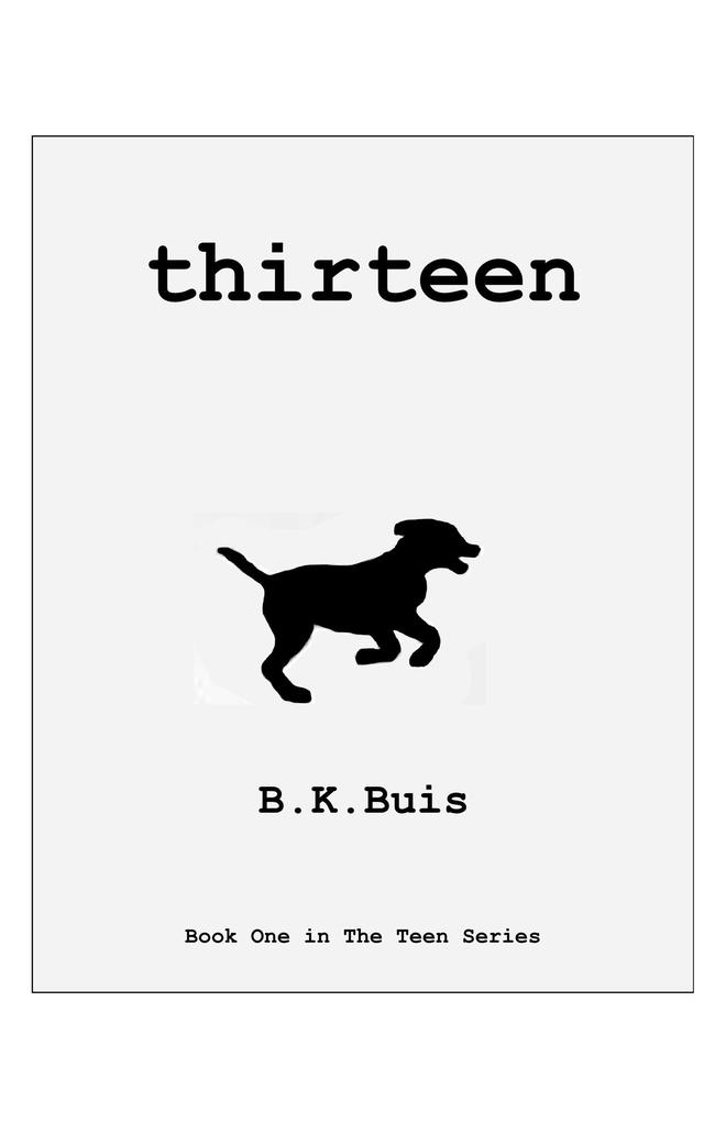Thirteen (The Teen Series #1)