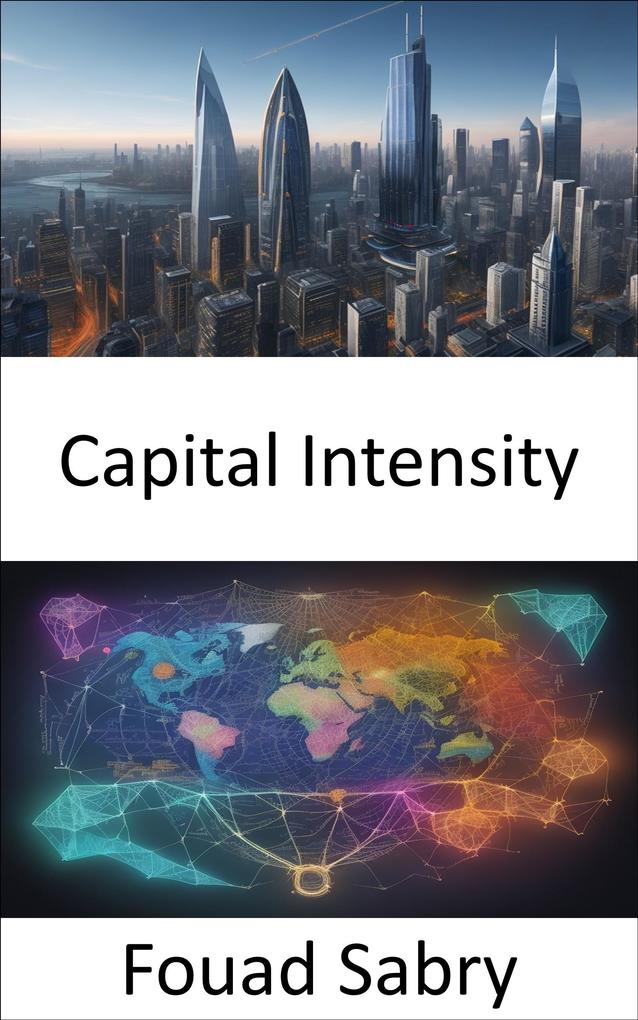 Capital Intensity