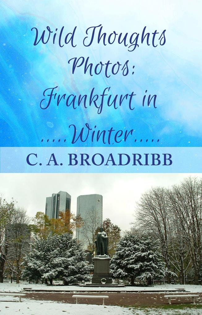 Wild Thoughts Photos: Frankfurt in Winter