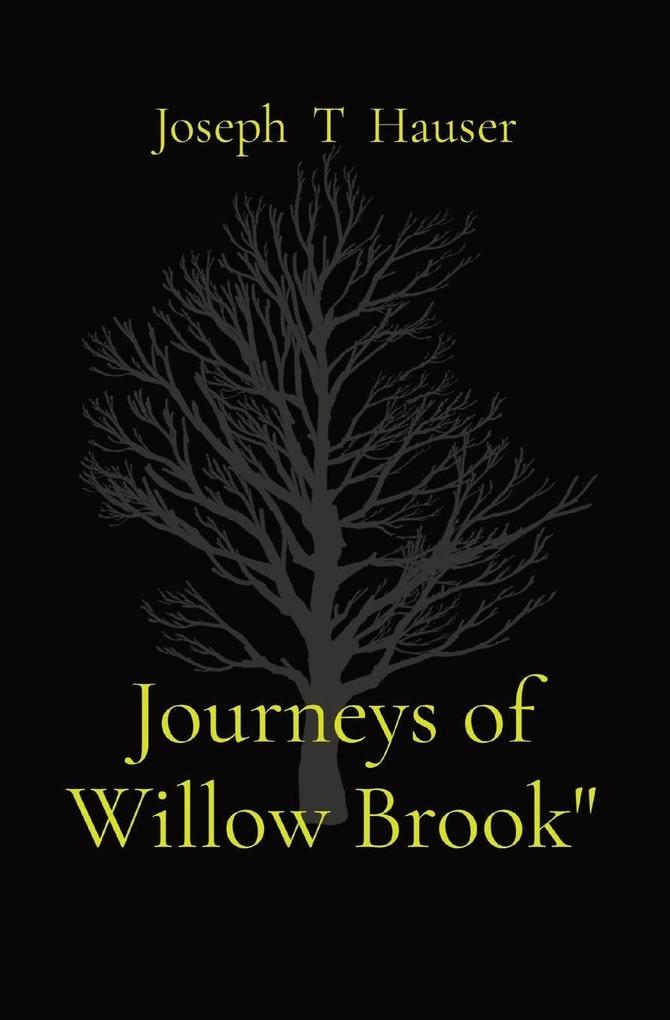 Journeys of Willow Brook'