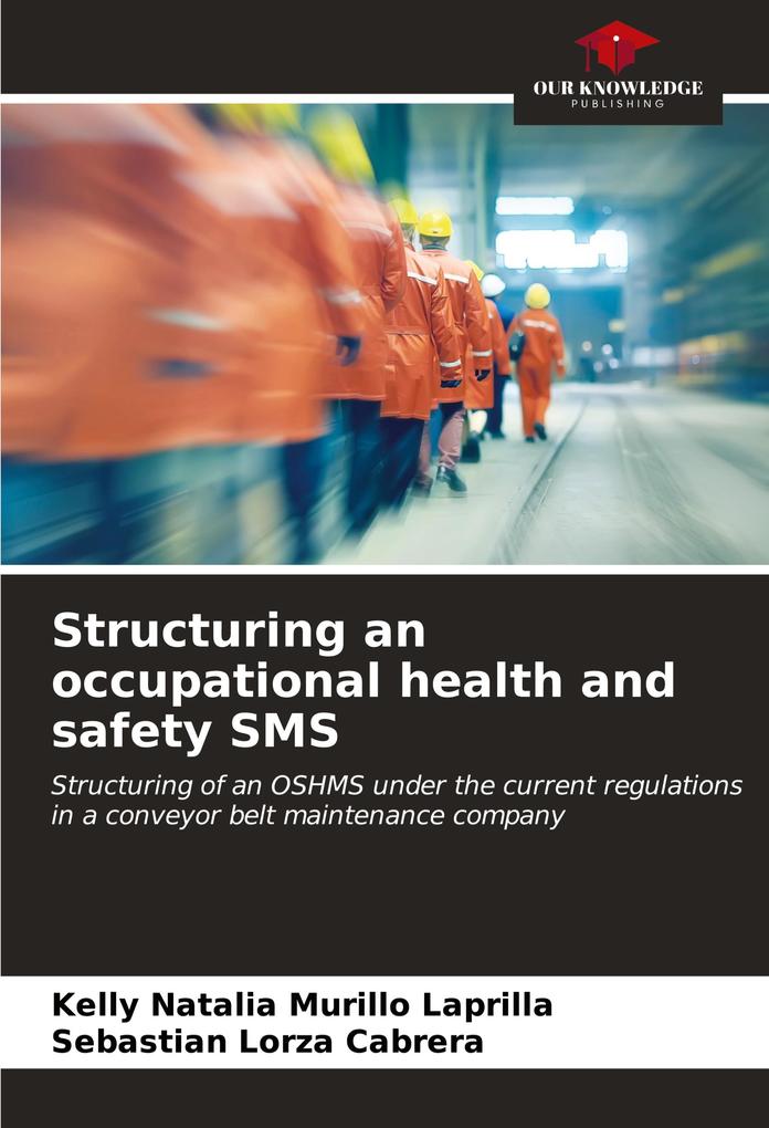 Structuring an occupational health and safety SMS