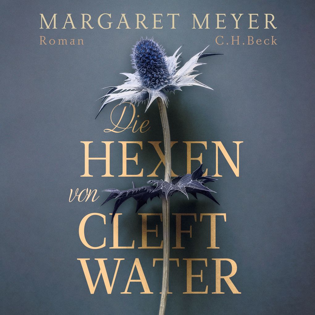 Die Hexen von Cleftwater