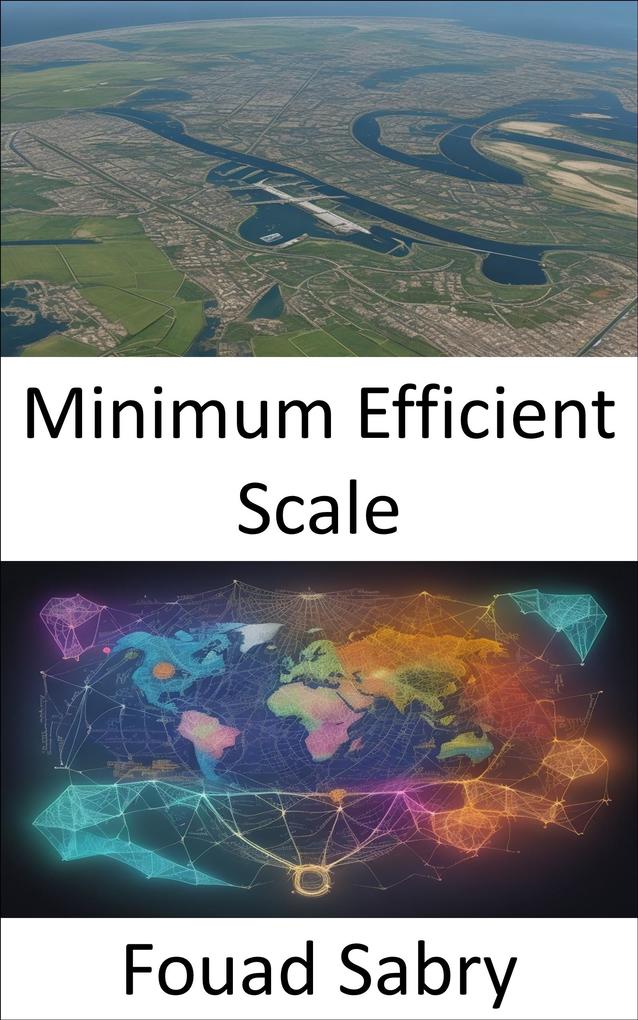 Minimum Efficient Scale