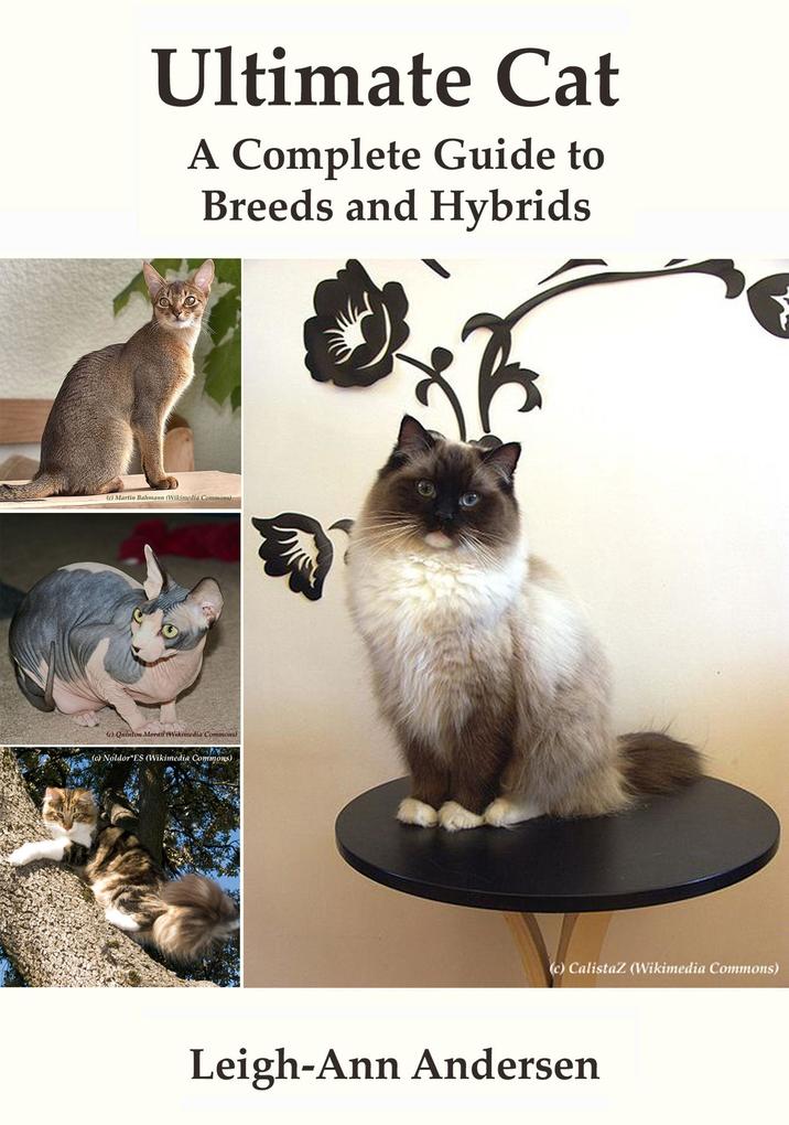 Ultimate Cat: A Complete Guide to Breeds and Hybrids