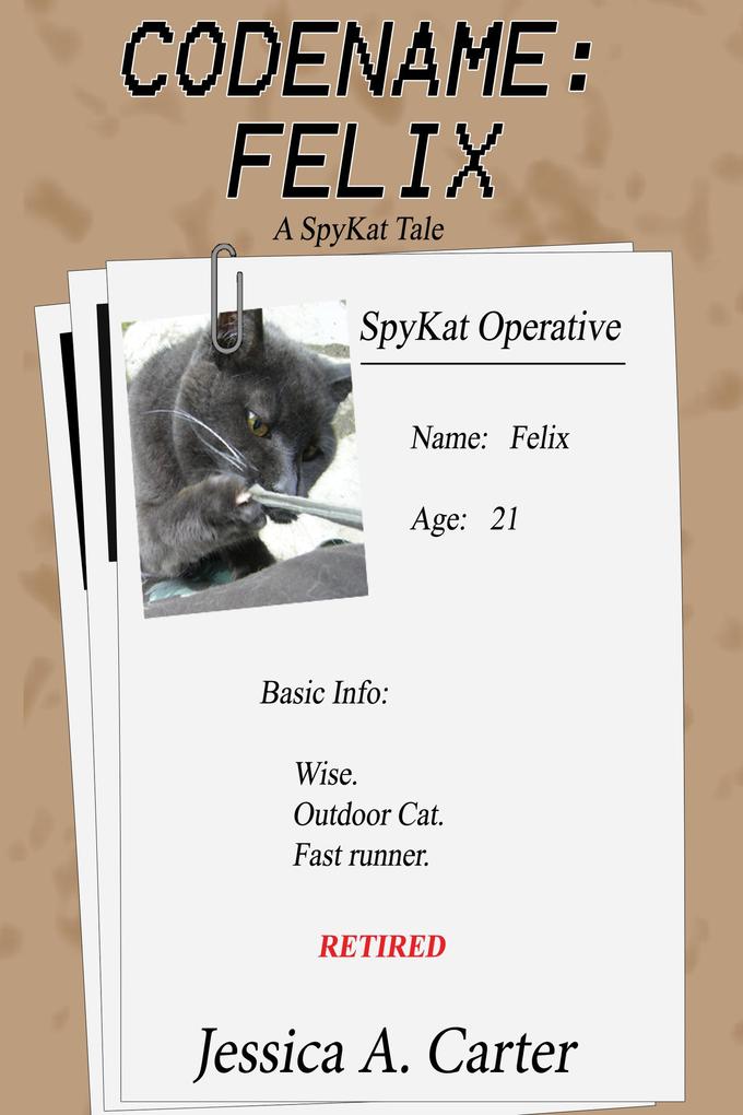 Codename: Felix (The SpyKat Tales #3)