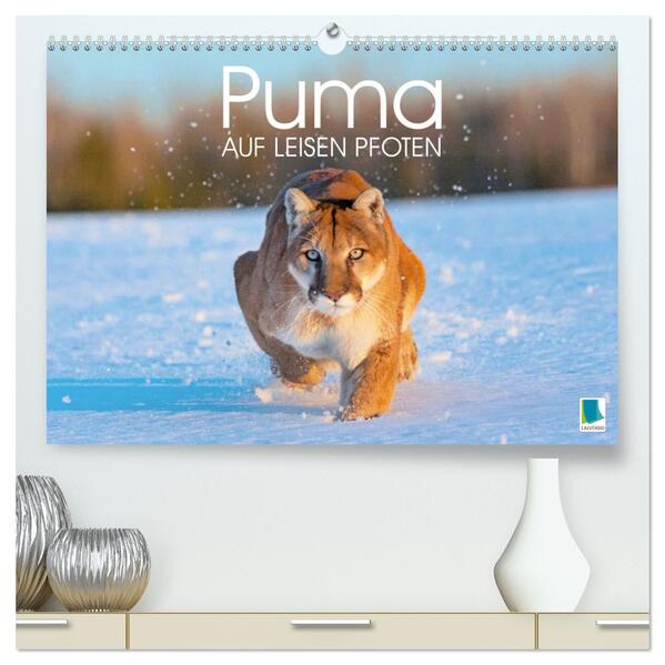 Puma: Auf leisen Pfoten (hochwertiger Premium Wandkalender 2025 DIN A2 quer) Kunstdruck in Hochglanz