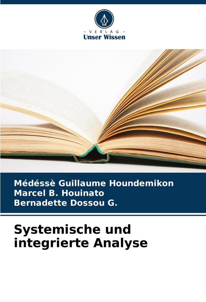 Systemische und integrierte Analyse