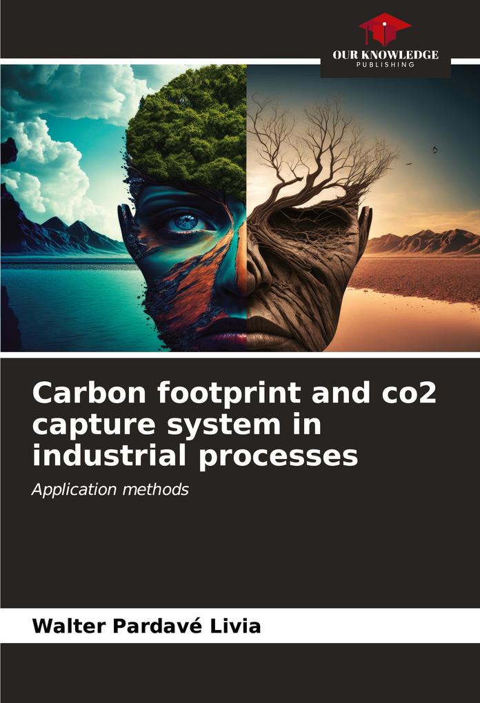 Carbon footprint and co2 capture system in industrial processes