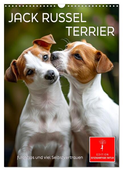 Jack Russel Terrier - furchtlos und viel Selbstvertrauen (Wandkalender 2025 DIN A3 hoch) CALVENDO Monatskalender