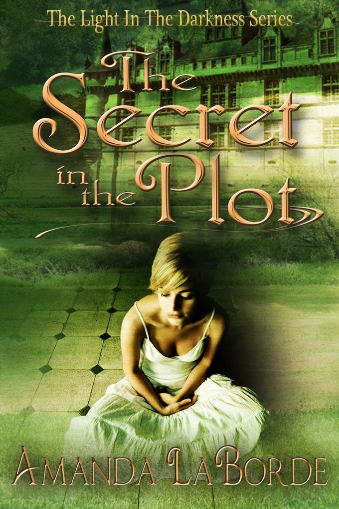 The Light In The Darkness Book 1: The Secret In The Plot