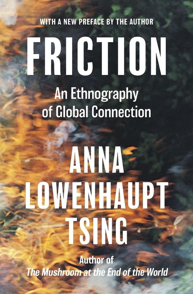 Princeton University Press Friction