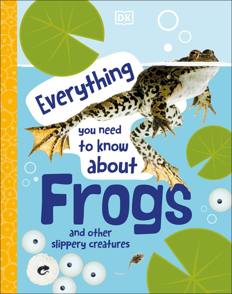 Everything You Need to Know About Frogs