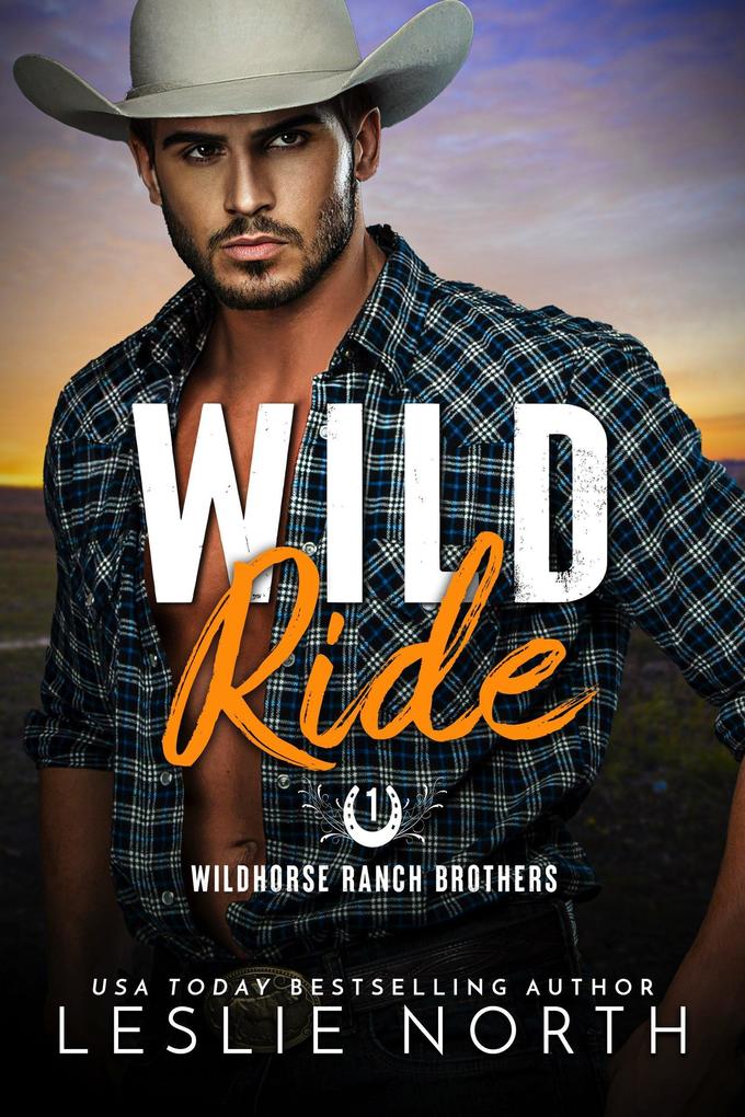 Wild Ride (Wildhorse Ranch Brothers #1)