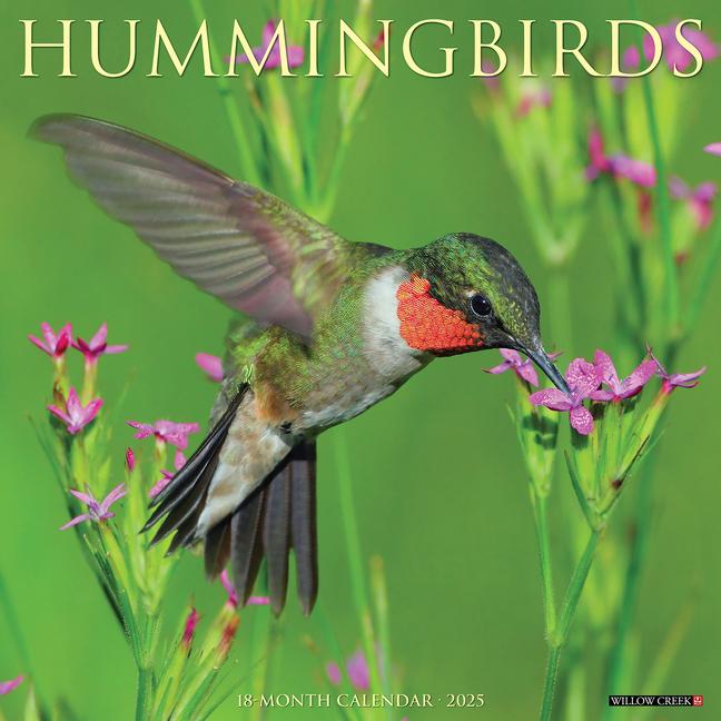 Hummingbirds 2025 12 X 12 Wall Calendar
