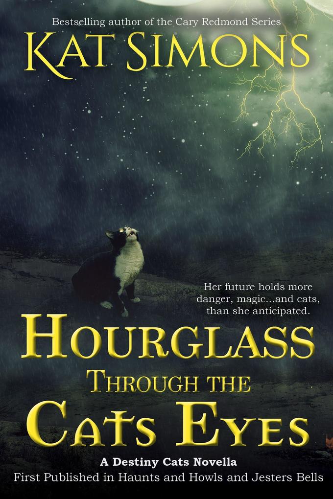 Hourglass Through the Cats Eyes (Destiny Cats #2)