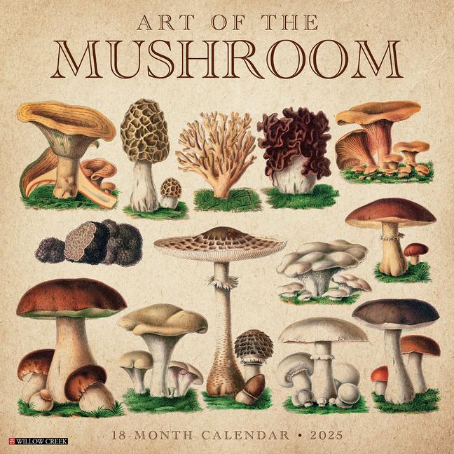 Art of the Mushroom 2025 12 X 12 Wall Calendar