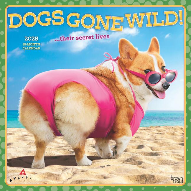 Avanti Dogs Gone Wild Official 2025 12 X 24 Inch Monthly Square Wall Calendar Plastic-Free