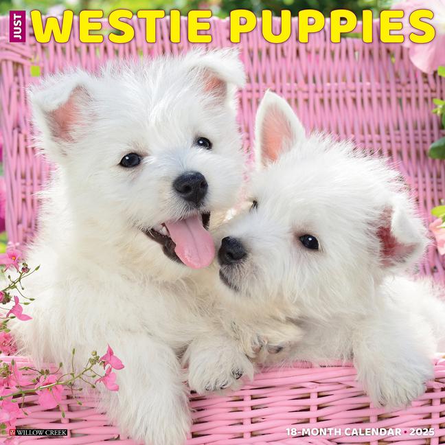 Just Westie Puppies 2025 12 X 12 Wall Calendar