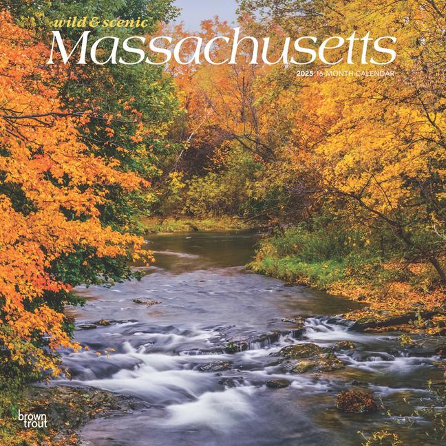 Massachusetts Wild & Scenic 2025 12 X 24 Inch Monthly Square Wall Calendar Plastic-Free