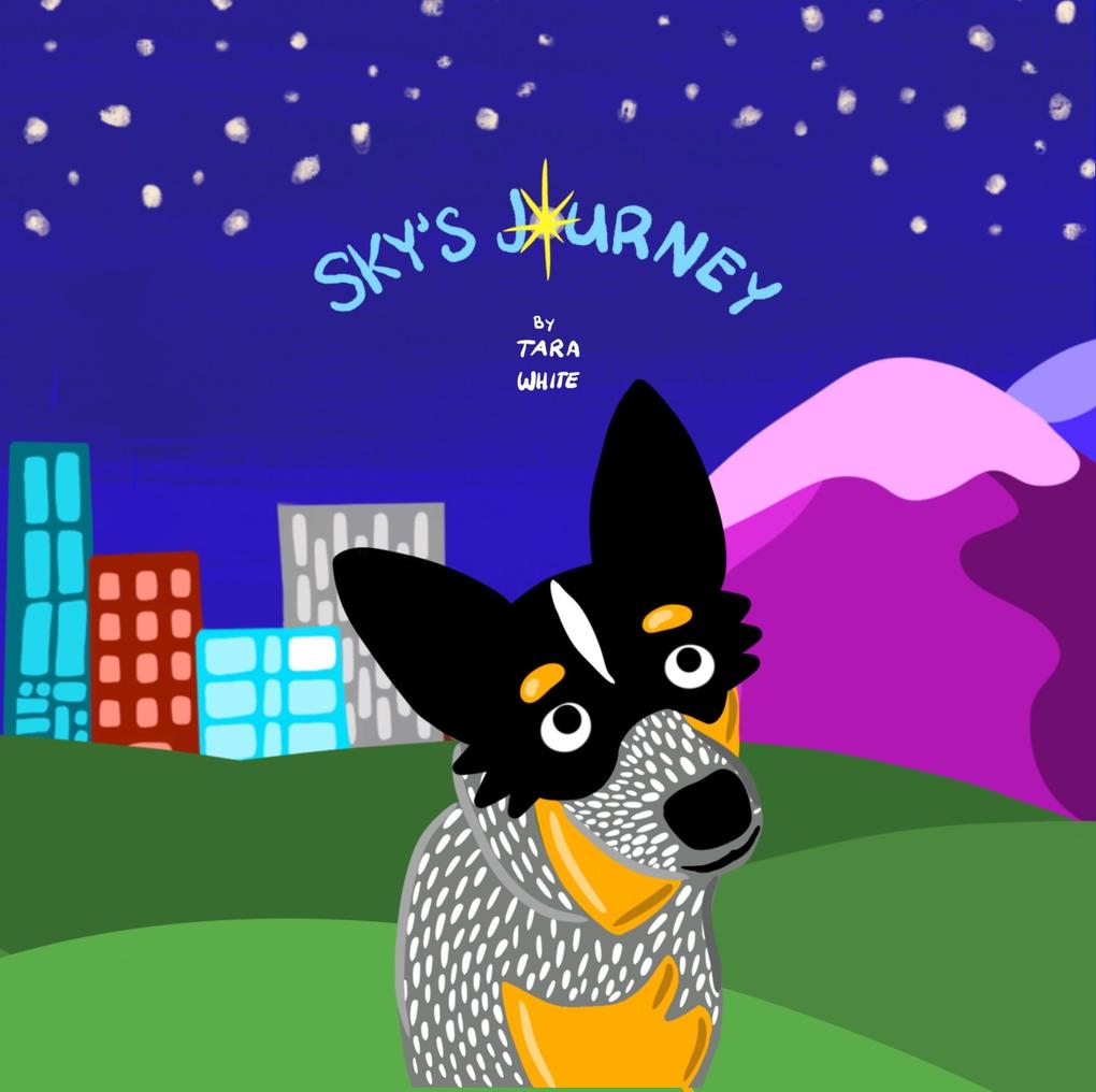 Sky's Journey