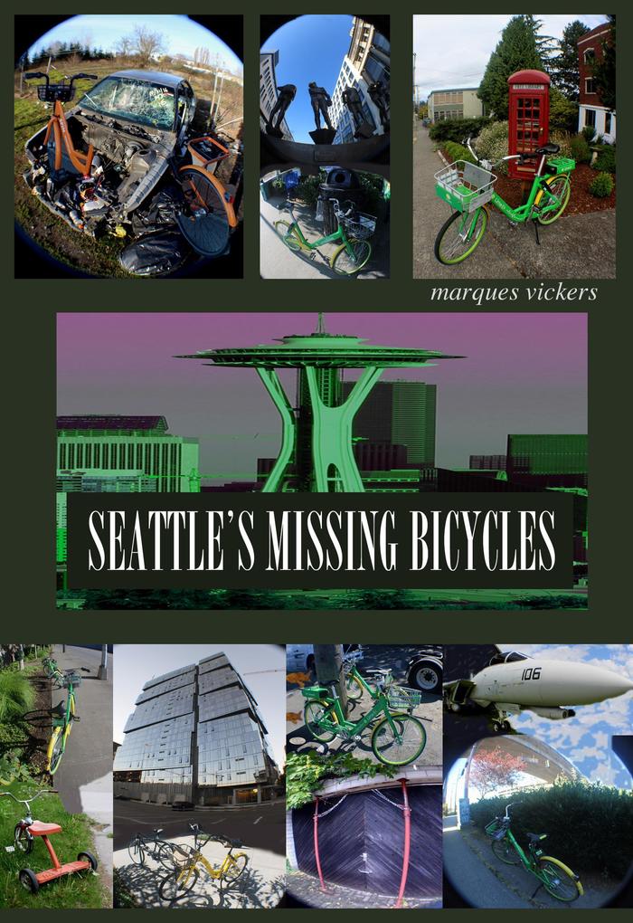 Seattle‘s Missing Bicycles