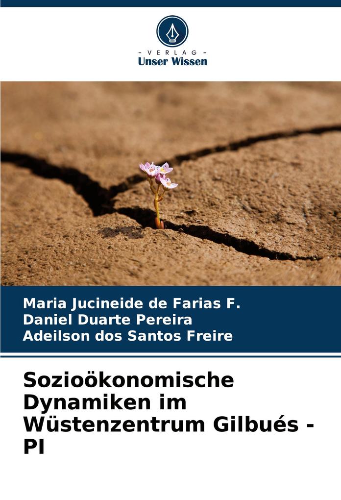 Sozioökonomische Dynamiken im Wüstenzentrum Gilbués - PI